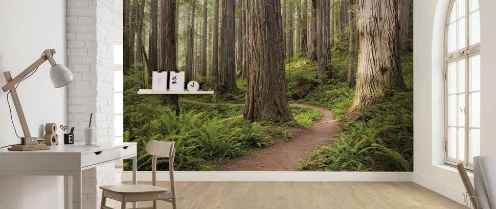 Fototapete von Wäldern kaufen bei Fototapetenkönig