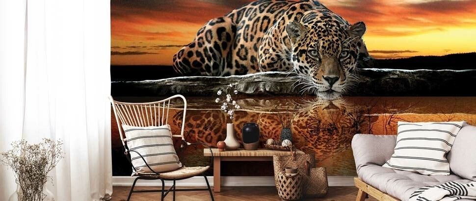 Tier Fototapete kaufen bei Fototapetenkoenig