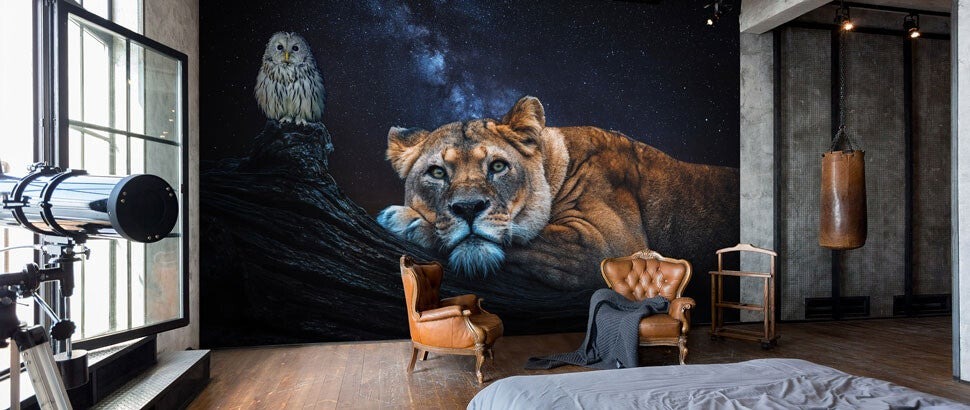 Fototapete Löwen kaufen bei Fototapetenkoenig