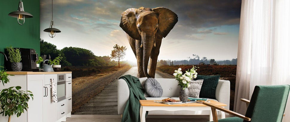 Fototapete Elefanten