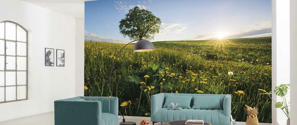 Fototapete Löwenzahn Kaufen