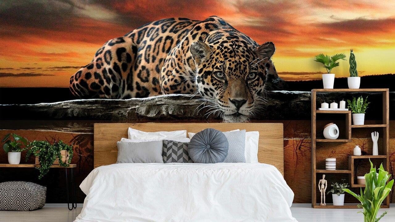 Fototapete Raubtiere kaufen bei Fototapetenkoenig