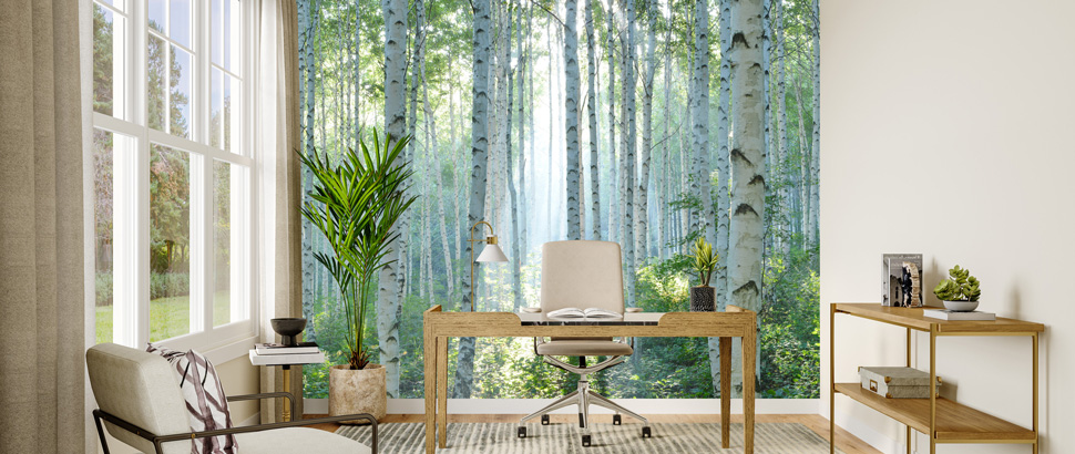 Fototapete Büro kaufen bei Fototapetenkoenig