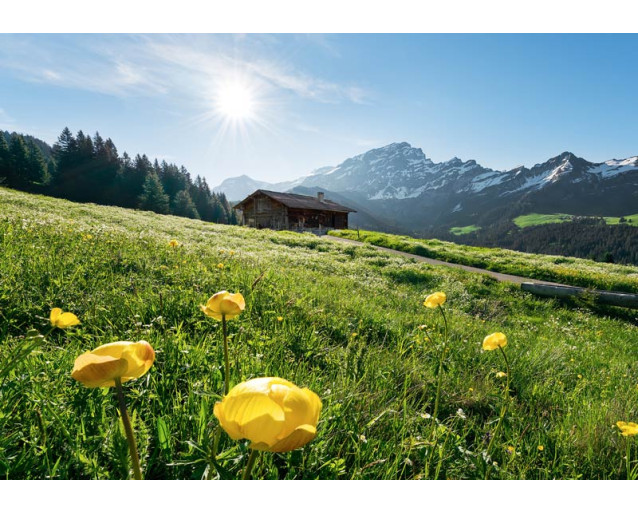 Alpine Berglandschaft Fototapete, mit majestätischen Ansichten der Alpen.