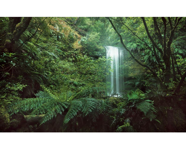 Ein tropischer Wasserfall inmitten des Dschungels, die Fototapete bringt die Schönheit der Natur und Ruhe in jeden Raum.