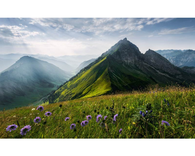 Die Grüne Königin vom Berg Hofats in den Allgäuer Alpen.