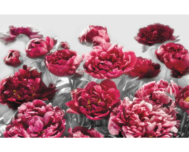 Verführung mit Rosen, eine romantische Fototapete mit üppigen Blumen, perfekt für eine luxuriöse Atmosphäre.