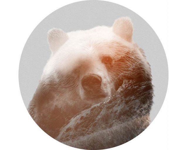 Tapetenkreis mit einem detaillierten Bild von einem Bären.