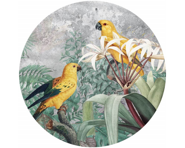 Bunte Papageien im Dschungel, anschaulich dargestellt auf einem exotischen Tapetenkreis.