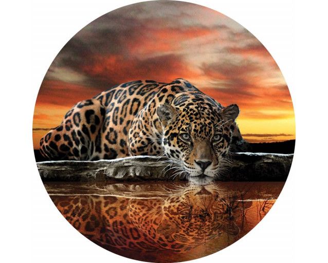 Leopard, Panther und Gepard abgebildet auf einem stilvollen Tapetenkreis für Tierliebhaber.