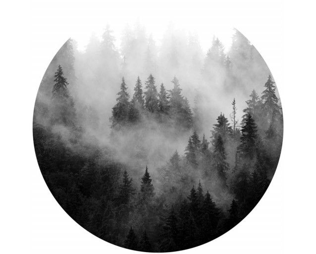 Nebliger Wald mit hohen Bäumen, perfekt für eine natürliche Atmosphäre, abgebildet auf einem Tapetenkreis.