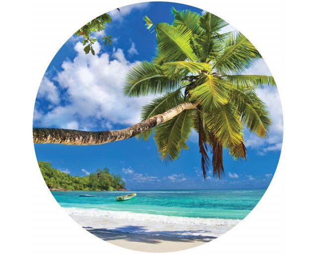 Eine schöne Palme am Rande eines sonnigen Strandes, perfekt auf einem Tapetenkreis gerendert.
