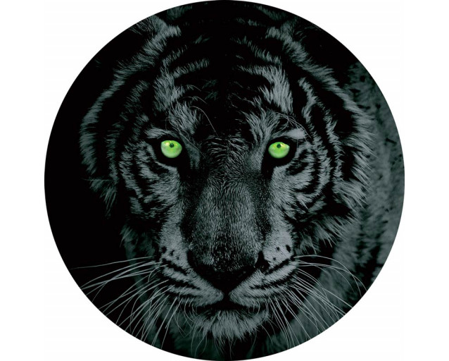 Ein Tiger mit grünen Augen auf einem coolen Tapetenkreis, ideal für ein abenteuerliches Kinderzimmer.