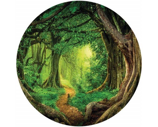 Tropischer Regenwald mit üppigem Dschungel und Bäumen, wunderschön gerendert auf einem Tapetenkreis.