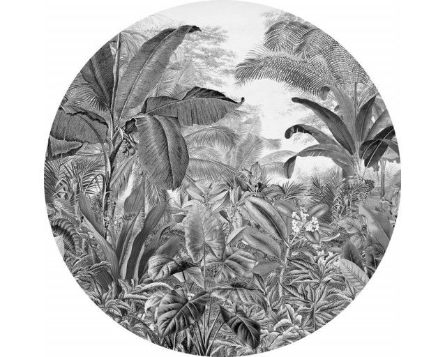 Wilder Dschungel mit Bäumen und Pflanzen auf einem natürlichen Wandkreis.