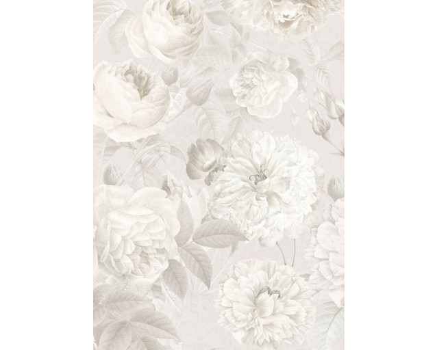 Centifolia muscosa moss rose flowers, gerendert in einer abstrakten und detaillierten Fototapete für einen eleganten Look.