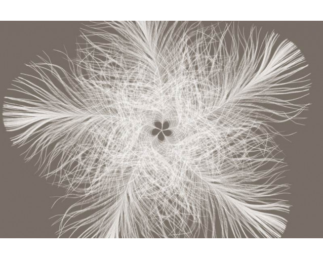 Federster abstrakte Fototapete, mit einem modernen Kunstwerk, das jedem Raum einen kreativen Look verleiht.