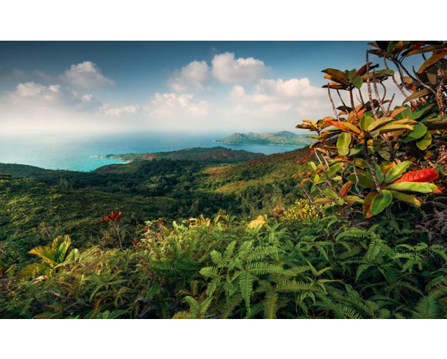 Court of Eden Ansicht Landschaft Praslin Fototapete, Darstellung eines tropischen Paradieses.