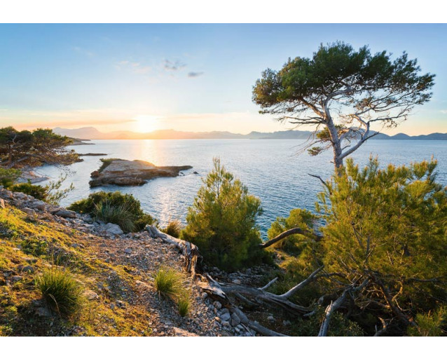 Fototapete des Südpazifiks, perfekt für einen ruhigen und entspannenden Raum.