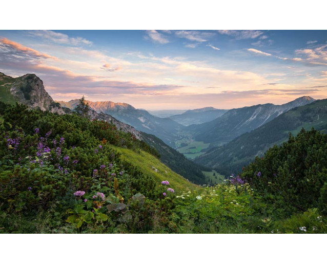 Naturpark Allgäuer Hochalpen Fototapete, mit einer wunderschönen Berglandschaft.