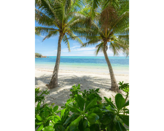 Palmen Strand Fototapete, mit schwankenden Palmen und einem tropischen Strand.