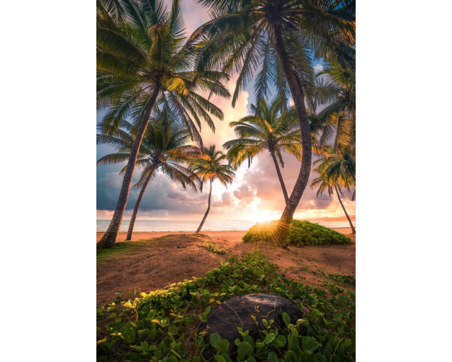 Paradiesische Strandfototapete mit dem hellen Sonnenlicht von Puerto Rico.