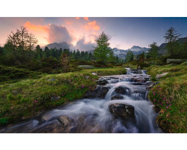 Wildes Paradies Wasserfall in den Schweizer Alpen mit einer idyllischen Landschaft.