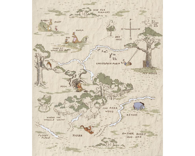Winnie the Pooh Map Fototapete mit einer verspielten Karte des Hundertmorgenwaldes, die Orte wie das Haus von Pooh und Ferkel zeigt.