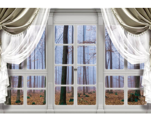 3D-Fototapete mit Blick auf einen herbstlichen Wald und Bäume, gesehen durch ein Fenster.