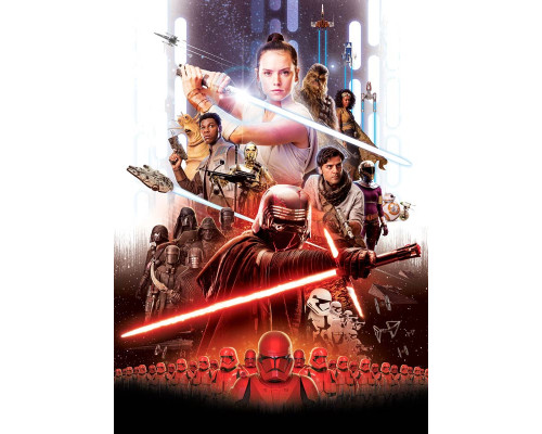 Star Wars Rey Fototapete, die die tapfere Heldin in Aktion zeigt, ideal für ein cooles Kinderzimmer.