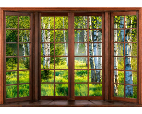 Fototapete einer 3D-Fensteransicht eines Birkenwaldes, mit hohen Bäumen und einer ruhigen Atmosphäre.
