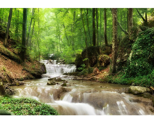 Fototapete mit bergbeek in grünem natuurlandschaft