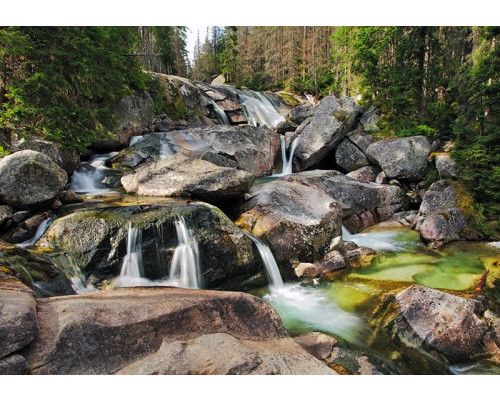 Fotobehang met bergbeek natuurlandschap in groene tinten