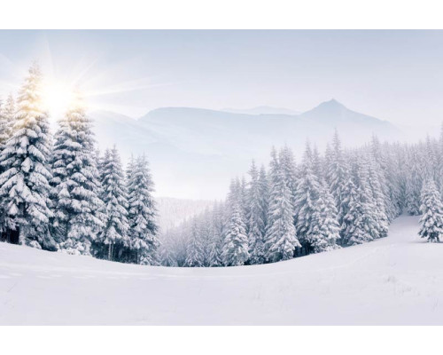 Fototapete einer bezaubernden Winterlandschaft mit schneebedeckten Bergen und Bäumen und einem klaren blauen Himmel.