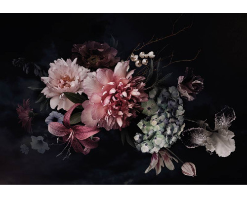 Blumenstrauß auf schwarzem Hintergrund mit leuchtenden Farben und Kontrast, Fototapete, die Eleganz und Luxus ausstrahlt.