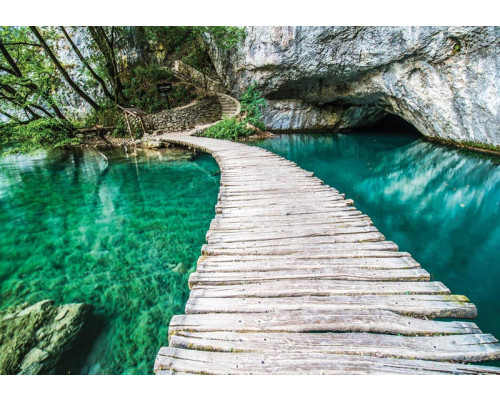 Holzbrücke über einen türkisfarbenen Teich, Natur-Fototapete mit einem ruhigen Blick auf einen Teich.