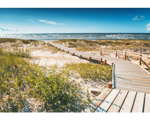 Fototapete von einer Brücke durch die Dünen zum Strand, mit dem Meer im Hintergrund.