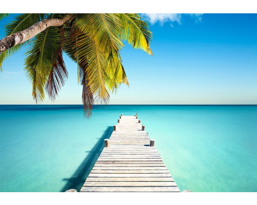 Fotobehang met brug omringd door palmbomen en zee in blauwe tinten