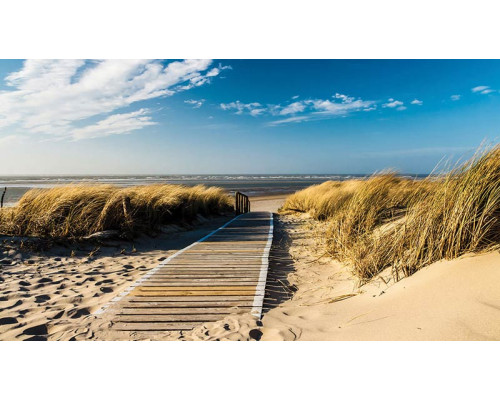 Fototapete von Dünen am Strand mit weitem Blick auf das Meer und natürliche Elemente.