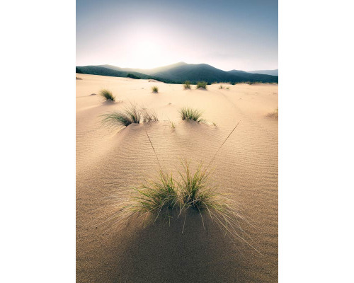 Dünen-Fototapete, mit Sandhügeln, die sich über die Landschaft erstrecken.