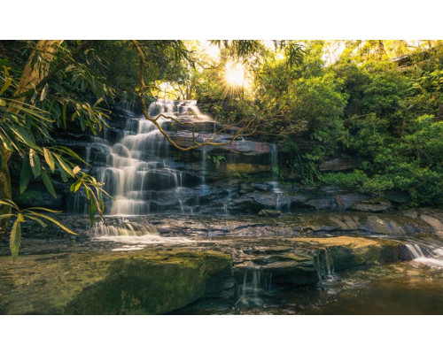 Ein goldener Wasserfall, umgeben von üppigem Dschungel, eingefangen in dieser exotischen Fototapete.