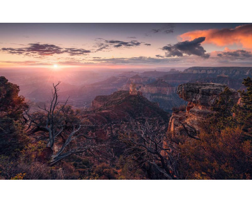 Blick auf den Grand Canyon mit atemberaubender Landschaft.