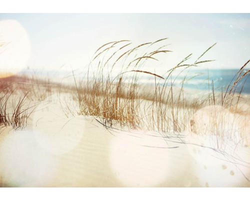 Helmgras entlang der Küste und Dünen auf diesem Strand Fototapete, mit einem beruhigenden Meer in der Ferne.