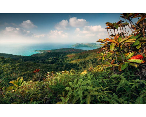 Court of Eden Ansicht Landschaft Praslin Fototapete, mit einem tropischen Paradies.