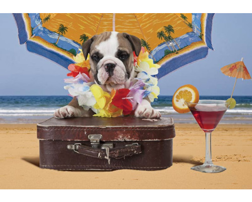 Fototapete eines Hundes am Strand, Teil der Tollwütige Tiere Durcheinander Sammlung.