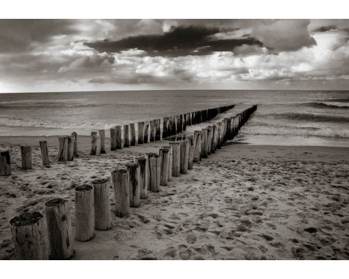Fototapete mit Holzpfählen, die in den Sand des Strandes eingelassen sind, mit einer Schwarz-Weiß-Darstellung des Meeres.