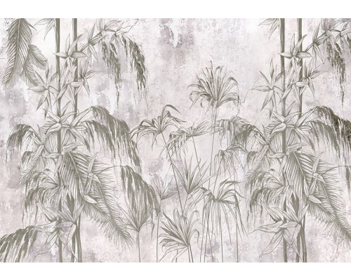 Fotobehang met jungle dessin in zwart-wit met planten en betonlook