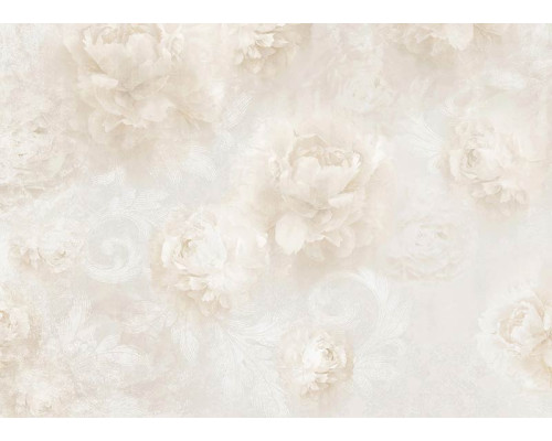 Fototapete Hellbeige Blumen