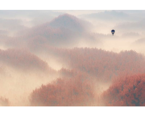 Fototapete eines Heißluftballons, der über einem nebligen Wald schwebt, mit Bäumen, die im Dunst verschwinden.