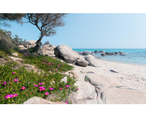 Mediterrane Träume Strand Fototapete, perfekt für ein tropisches Ambiente.